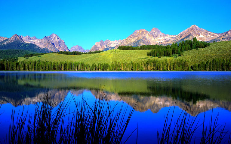 mii-lake-view